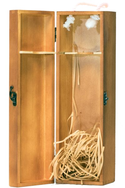 Weinkiste für Flaschen Wein / Geschenk Box aus Holz mit Klappdeckel Weinkiste für Flaschen Wein / Geschenk Box aus Holz mit Klappdeckel