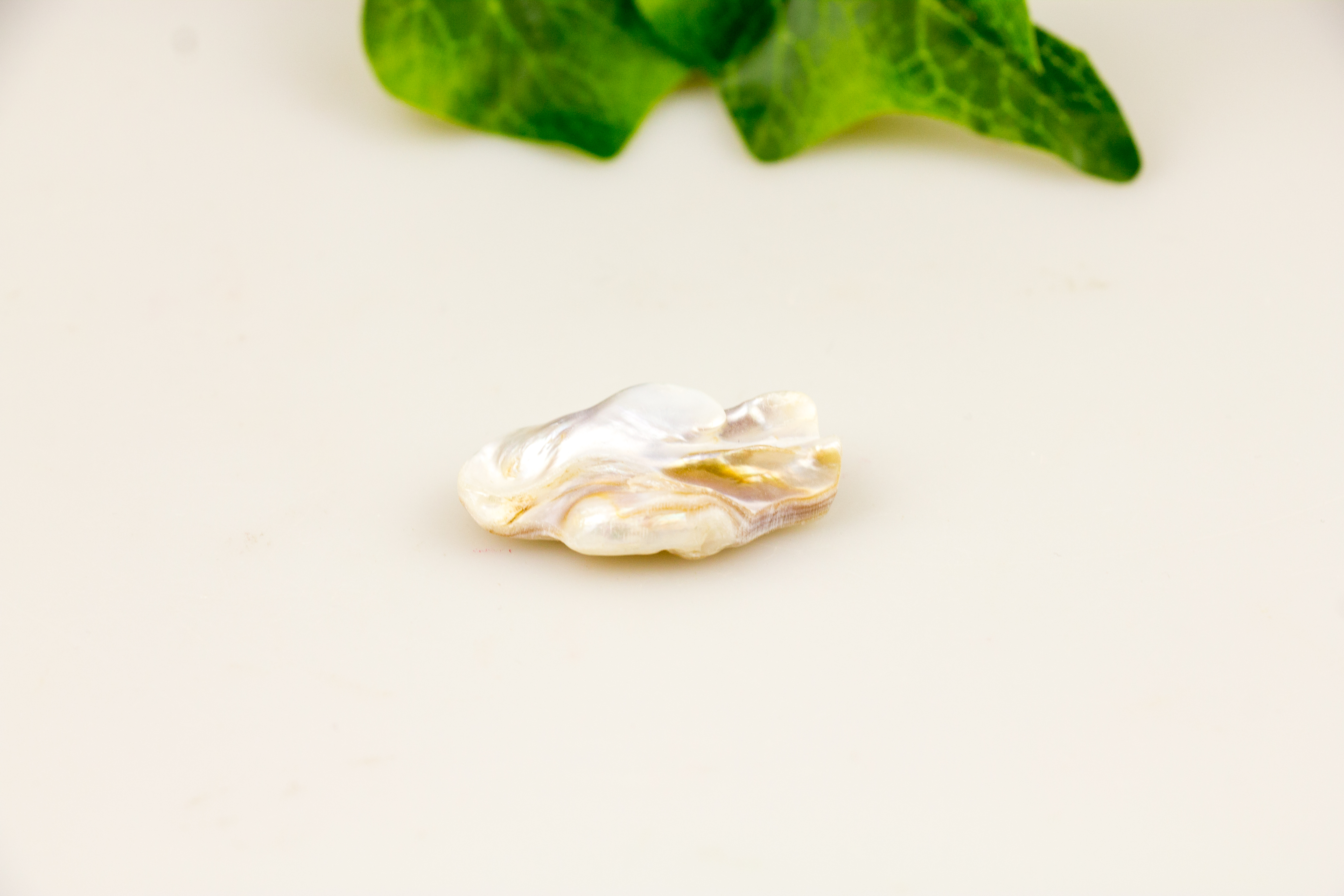 Perle groß mit Zertifikatkarte in Pouch