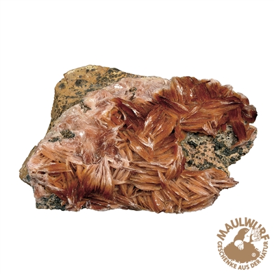 Baryt-Stufe Marokko, ca 7 - 10 cm groß